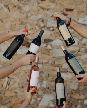"Vins Découverte" 6 Vins
